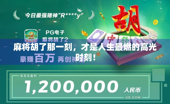 麻将胡了那一刻，才是人生最燃的高光时刻！